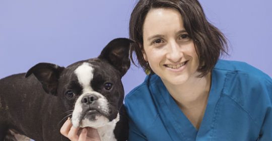 Amaia Méndez Gomendio <br> Veterinaria