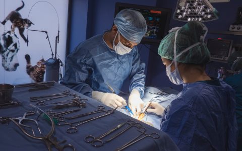 Cirugía Téjidos Blandos