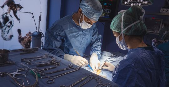 Cirugía Téjidos Blandos